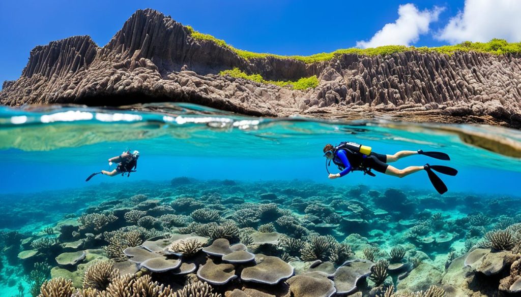 Oahu snorkeling adventures